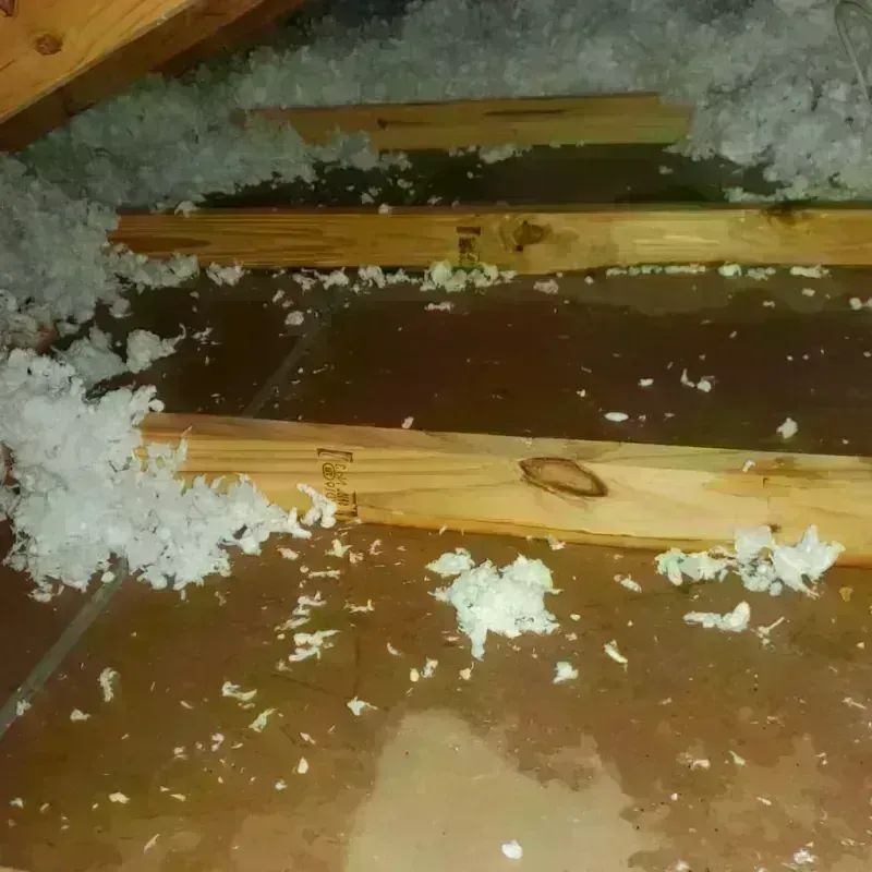 Attic Water Damage in Fisher, IL